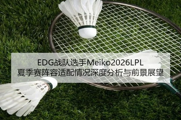 EDG战队选手Meiko2026LPL夏季赛阵容适配情况深度分析与前景展望