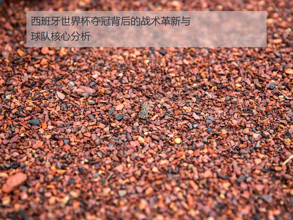 西班牙世界杯夺冠背后的战术革新与球队核心分析